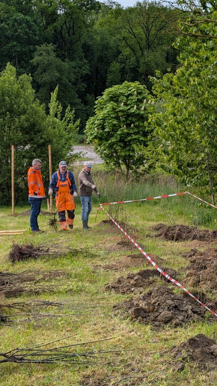 Pflanzaktion STS - Gemeinde - ausstecken - von Martin Koch Pflanzaktion STS - Gemeinde - ausstecken - von Martin Koch