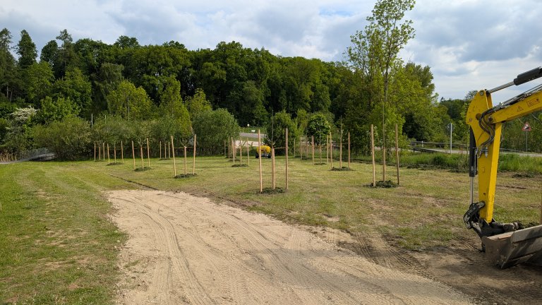 Pflanzaktion STS - Gemeinde - fertig 3 - von Martin Koch Pflanzaktion STS - Gemeinde - fertig 3 - von Martin Koch