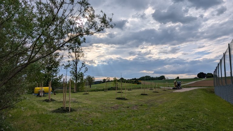 Pflanzaktion STS - Gemeinde - fertig 4 - von Martin Koch Pflanzaktion STS - Gemeinde - fertig 4 - von Martin Koch