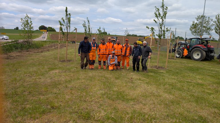 Pflanzaktion STS - Gemeinde - Team - von Martin Koch Pflanzaktion STS - Gemeinde - Team - von Martin Koch