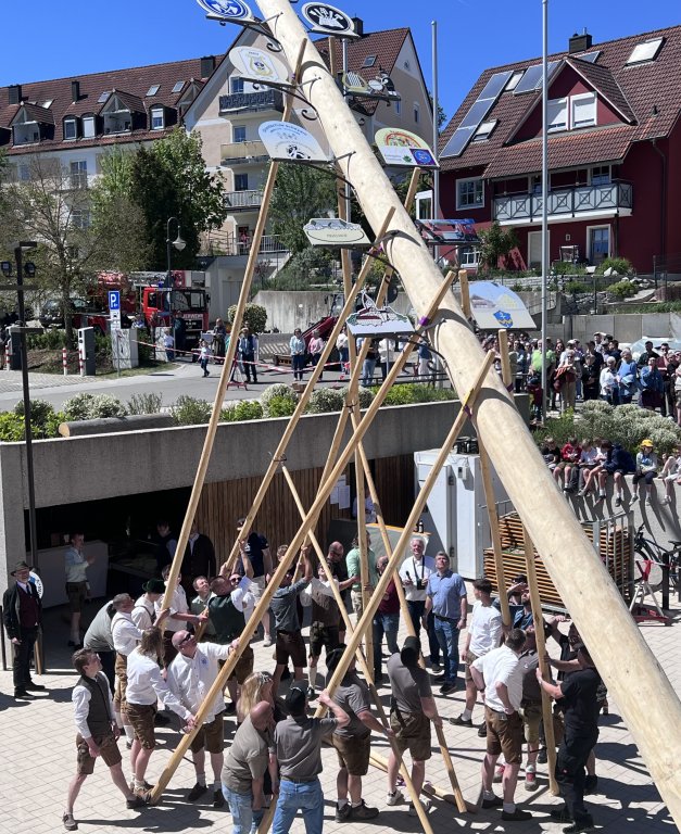 Maibaum 2026