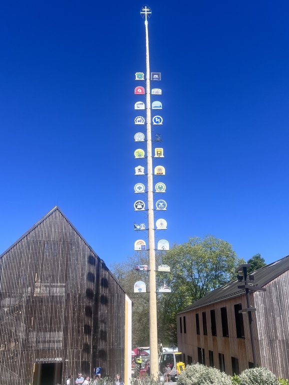 Maibaum 2026 - fertig