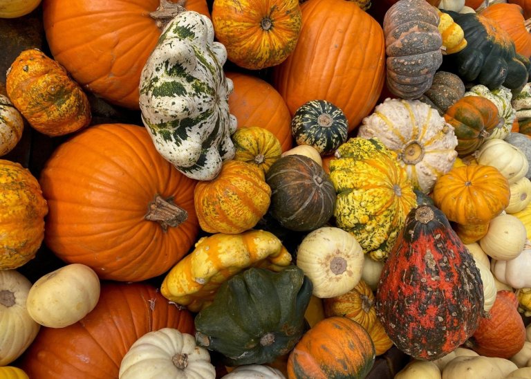 Herbstferien_FotoKUS-Kristina Püschel
