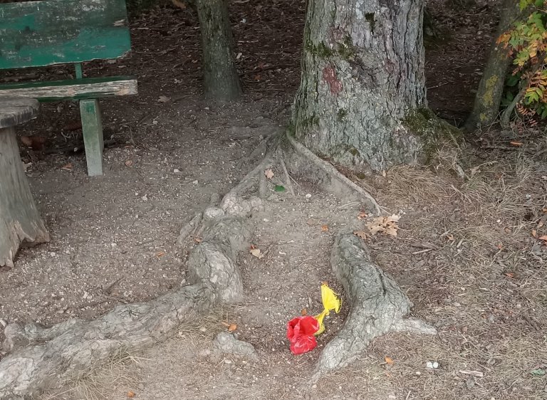 Bellomat Säckchen in der Landschaft von Hans Mayer 20.10.2026